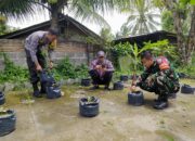 POLRES LOMBOK TENGAH BERSAMA TNI TERUS GALAKKAN PEKARANGAN BERGIZI DI TENGAH MASYARAKAT