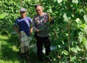 Bhabinkamtibmas Desa Gemel Polsek Jonggat Sambangi Lahan Warga Binaan Dukung Ketahanan Pangan