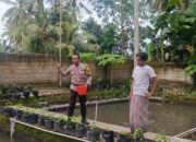 Ketahanan Pangan Kuripan: Bukti Nyata Bakti Bhabinkamtibmas