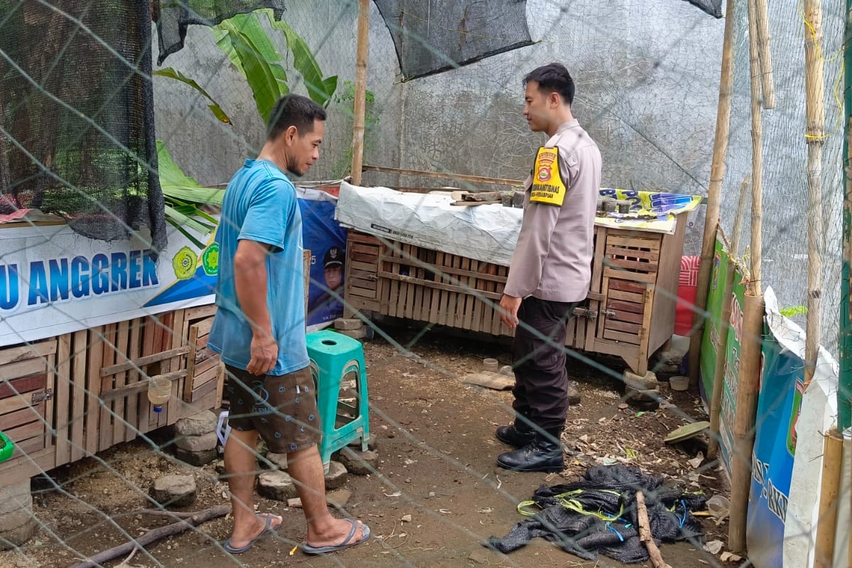 DDS Bripka Sumerta: Sentuh Hati Warga, Pekarangan Subur, Pangan Aman!