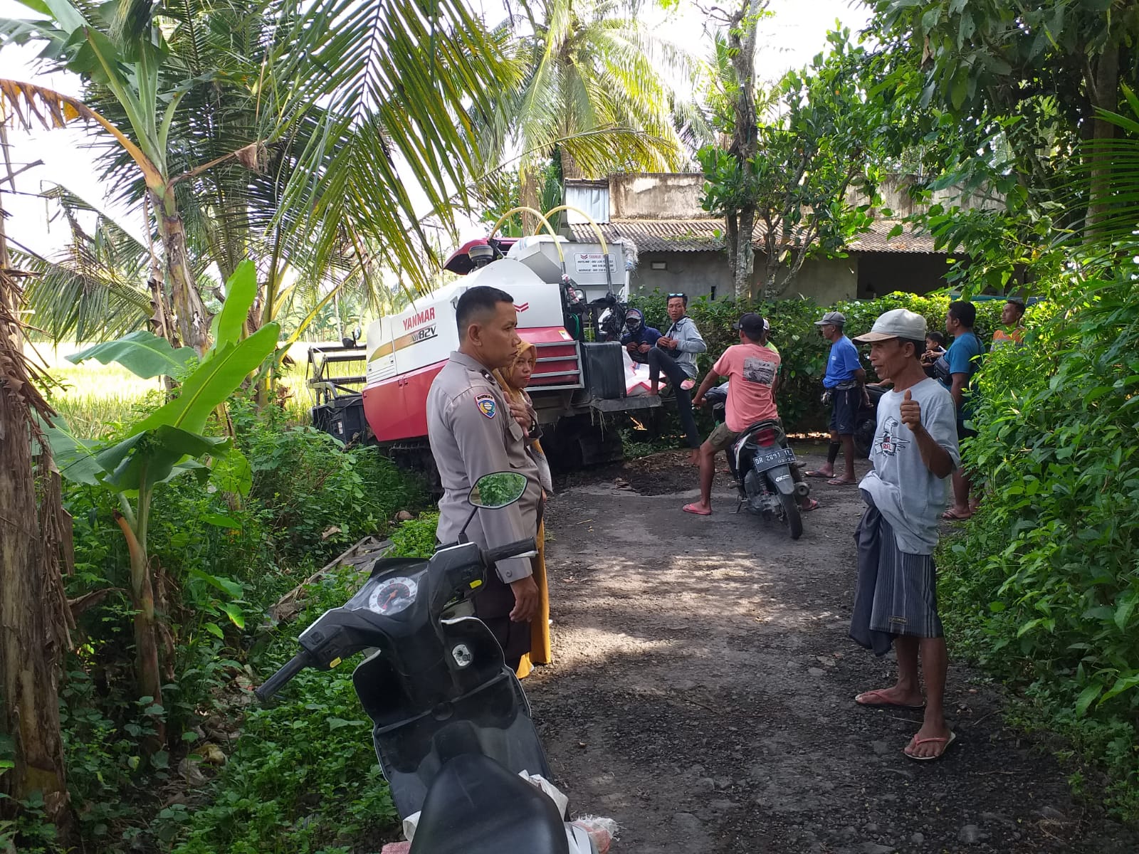 Sinergi Petani dan Polisi, Lombok Barat Raih Swasembada Pangan