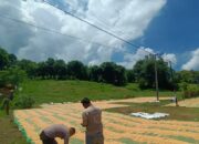 Bhabinkamtibmas Desa Karombo Pantau Panen Raya Jagung, Dukung Ketahanan Pangan Nasional 2025