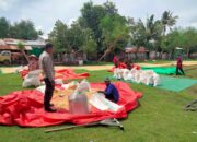 Bhabinkamtibmas Desa Cempi Jaya Pantau Panen Raya Jagung di Dusun Langudi