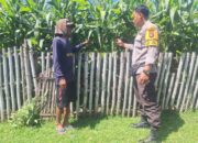 Wujudkan Hasil Panen Yang Baik, Bhabinkamtibmas Polsek Rhee Sambangi & Beri Dukungan Petani Jagung