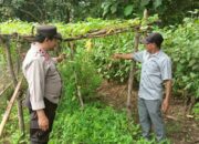 Bhabinkamtibmas Pantau Lahan Hortikultura Dukung Ketahanan Pangan Nasional