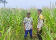 Bhabinkamtibmas Desa Songgajah Pantau Pemanfaatan Lahan Pekarangan untuk Ketahanan Pangan