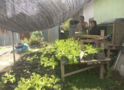 Bhabinkamtibmas Laksanakan Pengecekan Lahan Pekarangan Ketahanan Pangan Nasional