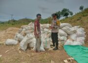 Bhabinkamtibmas Desa Riwo Pantau Panen Jagung di So Monta Bersama