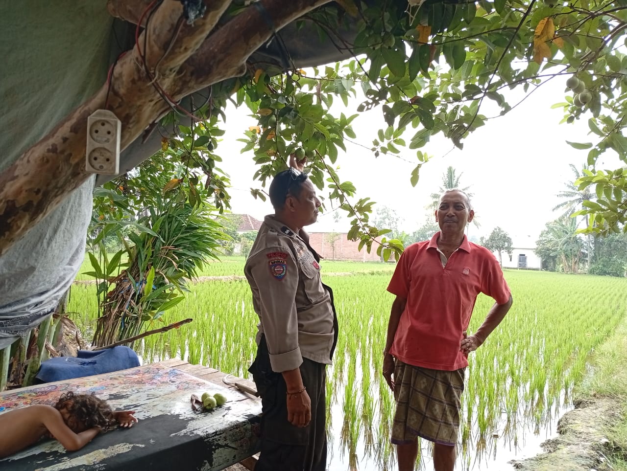 Terobosan Polsek Labuapi: Keamanan dan Ketahanan Pangan Jalan Beriringan
