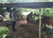 Warga Antusias! Bhabinkamtibmas Sosialisasikan Program Pangan Berkelanjutan