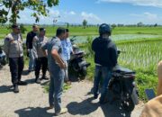 Diduga Hasil Curanmor: Motor Ditemukan Tersembunyi di Tanah Kosong