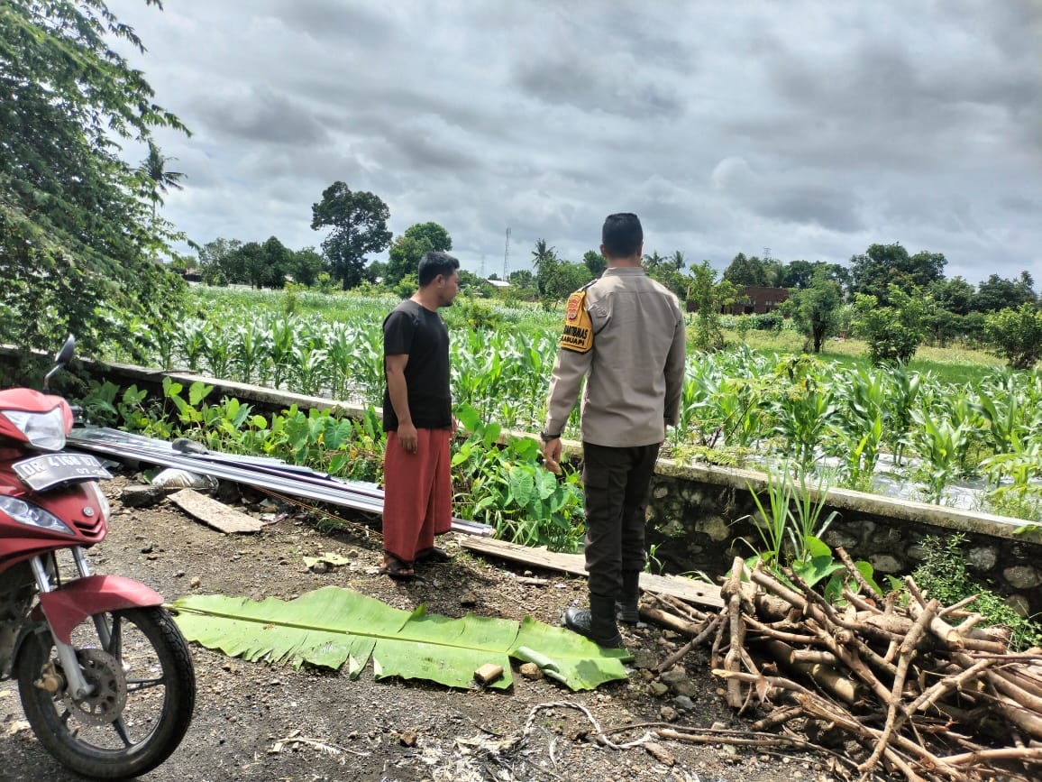 Bhabinkamtibmas Labuapi Aktif Dorong Ketahanan Pangan di Tingkat Petani