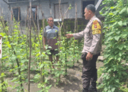 Guna Mendukung Ketahanan Pangan, Bhabinkamtibmas Ikut Bantu Serta Motivasi Warga Buat Kebun Sayur di Rhee