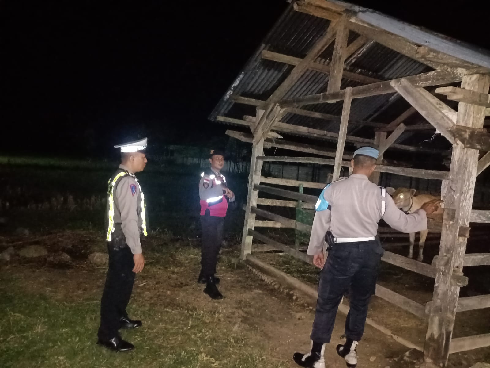 Tingkatkan Keamanan, Polsek Sekotong Fokus Patroli Kandang Ternak