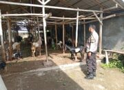 Sinergi Polri dan Warga Wujudkan Ketahanan Pangan Berkelanjutan