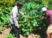 Dukung Program Asta Cita Swasembada Pangan, Bhabinkamtibmas Cek Lokasi Pekarangan Pangan Bergizi Milik Warga Desa Mantun