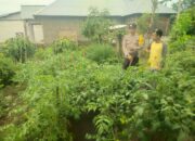 Bhabinkamtibmas Desa Lasi Dukung Pemanfaatan Lahan Pekarangan untuk Ketahanan Pangan Masyarakat