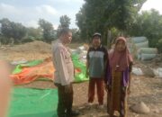 Bhabinkamtibmas Simpasai Laksanakan Pemantauan Panen Jagung Dukung Program Ketahanan Pangan Nasional Menuju Indonesia Emas 2045