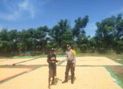 Dompu Dukung Indonesia Emas: Bhabinkamtibmas Lasi Pantau Panen Jagung, Bukti Nyata Sinergi Keamanan dan Ketahanan Pangan