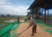 Dorong Ketahanan Pangan, Bhabinkamtibmas Doromelo Pantau Pemanfaatan Lahan Pertanian