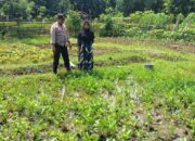 Bhabinkamtibmas Desa Baka Jaya Pantau Lahan Hortikultura Dukung Program Ketahanan Pangan Nasional
