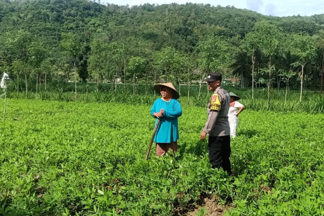 Optimalisasi Pekarangan: Peran Aktif Bhabinkamtibmas