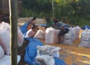 Sukses Panen Jagung di Desa Mareje, Dukungan Kepolisian Meningkatkan Kesejahteraan Petani