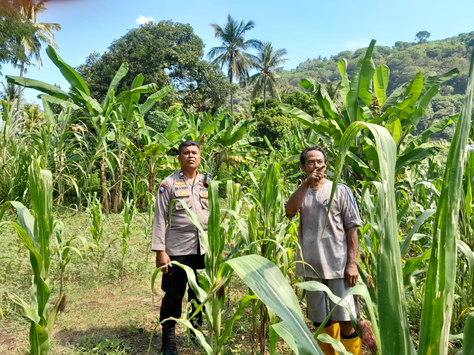 Ketahanan Pangan: Kolaborasi Bhabinkamtibmas dan Warga Desa Senggigi
