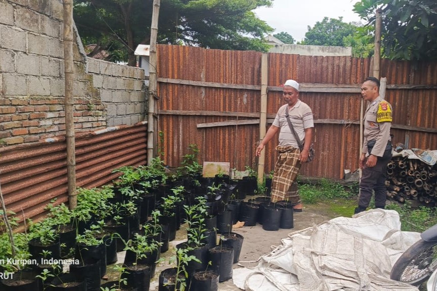 Ketahanan Pangan Nasional Dimulai dari Pekarangan Rumah: Inisiatif Polsek Kuripan