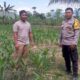 Ketahanan Pangan Jadi Misi Polsek Kuripan Bangun Silaturahmi
