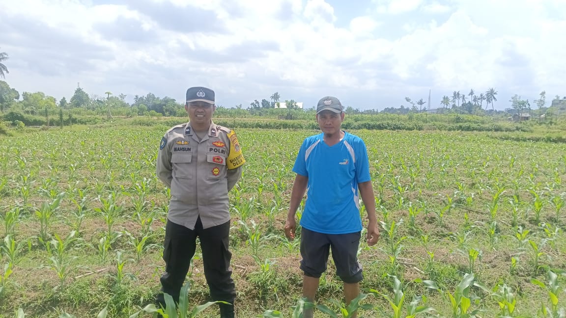 Sinergi Polri dan Petani: Polsek Gerung Galakkan Pemanfaatan Lahan Pekarangan untuk Pangan Bergizi