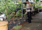 Ketahanan Pangan Nasional, Polsek Labuapi Turun Langsung ke Masyarakat