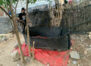 Dua Ekor Ayam dan Gelanggang Disita Tim Opsnal Polsek Rasbar Saat Penggerebekan Judi Sabung Ayam