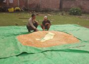 Sosialisasi Penyerapan Jagung oleh Bulog, Bhabinkamtibmas Manggeasi Dampingi Petani Wujudkan Ketahanan Pangan Nasional