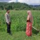 Polsek Lembar Dukung Ketahanan Pangan Lewat Sambang Petani di Sekotong Timur