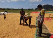 Bhabinkamtibmas Polsek Sape Laksanakan Patroli Sambang Dukung Program Ketahanan Pangan Nasional