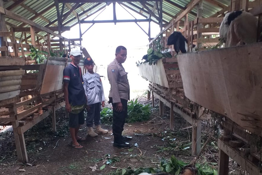 Kuripan Timur Dorong Kemandirian Pangan Lewat Pendampingan Warga