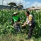 Polsek Labuapi Edukasi Warga Desa Jerneng untuk Tanam Sayur
