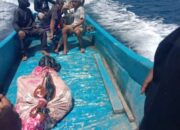 Jatuh dari Tebing di Lambu, Pemuda Meninggal Dunia – Polsek Lambu Lakukan Evakuasi