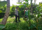 Bhabinkamtibmas Jagaraga Gerakkan Petani Lombok Barat Tanam Jagung