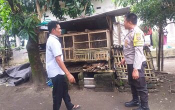 Didorong Bhabinkamtibmas, Warga Mulai Kembangkan Kandang Ayam