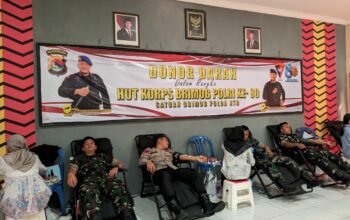 Satbrimob Polda NTB Gelar Donor Darah Sambut HUT ke-80 Korps Brimob Polri