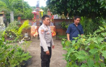 Gerakan Tanam Mandiri, Bhabinkamtibmas Kuripan Perkuat Ketahanan Pangan Lokal