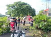 Polres Loteng Evakuasi Pohon Tumbang di Praya. ‎ ‎