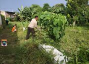 Antisipasi DBD di Musim Hujan, Bhabinkamtibmas Desa Luar dan Warga Dusun Stober Kompak Gotong Royong