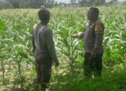 Bhabinkamtibmas Bagik Polak Barat Kawal Ketahanan Pangan