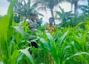 Polsek Labuapi Dorong Kemandirian Pangan di Desa Bajur