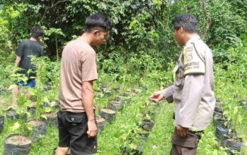 Polsek Batulayar Perkuat Ketahanan Pangan di Lombok Barat