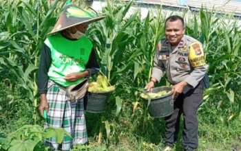 Polisi Dorong Swasembada Pangan di Bagik Polak Barat