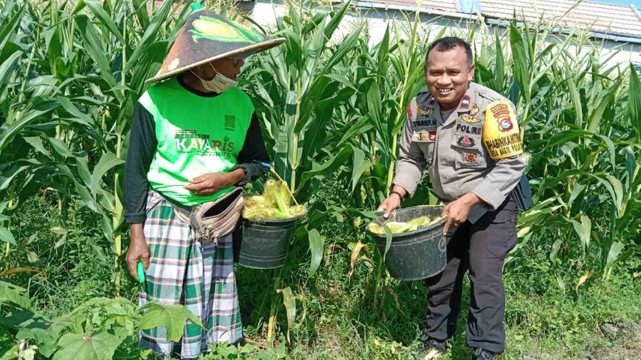 Strategi Polsek Labuapi Wujudkan Kemandirian Pangan